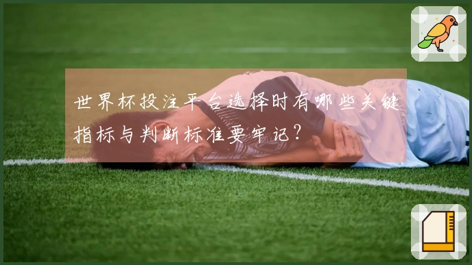 世界杯投注平台选择时有哪些关键指标与判断标准要牢记？