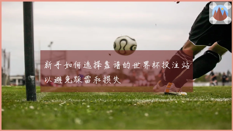 新手如何选择靠谱的世界杯投注站以避免踩雷和损失