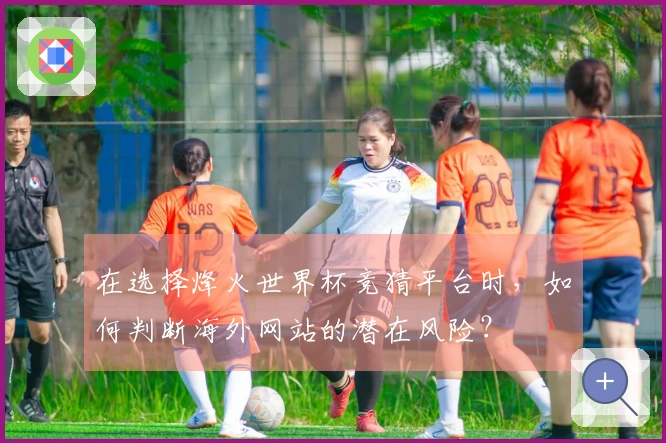 在选择烽火世界杯竞猜平台时，如何判断海外网站的潜在风险？