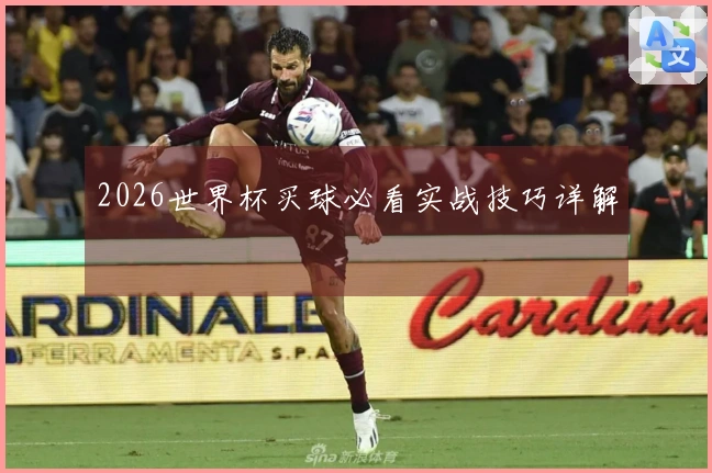 2026世界杯买球必看实战技巧详解