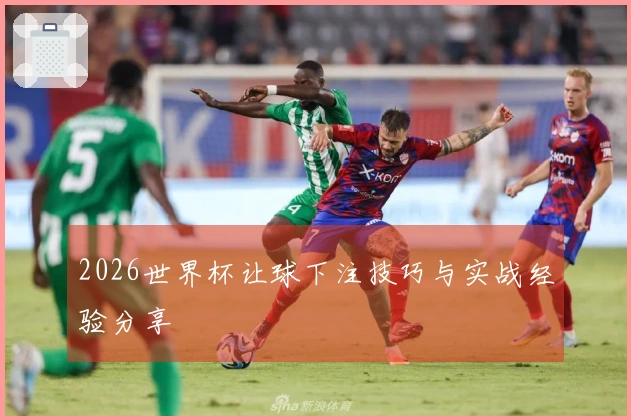 2026世界杯让球下注技巧与实战经验分享